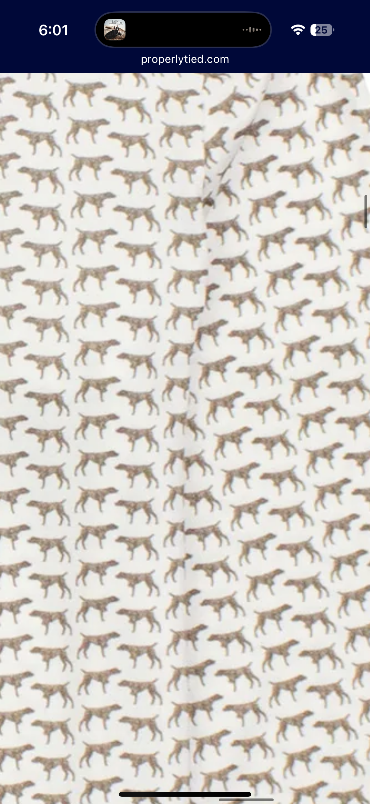 Boys Inlet Pullover - Pointers