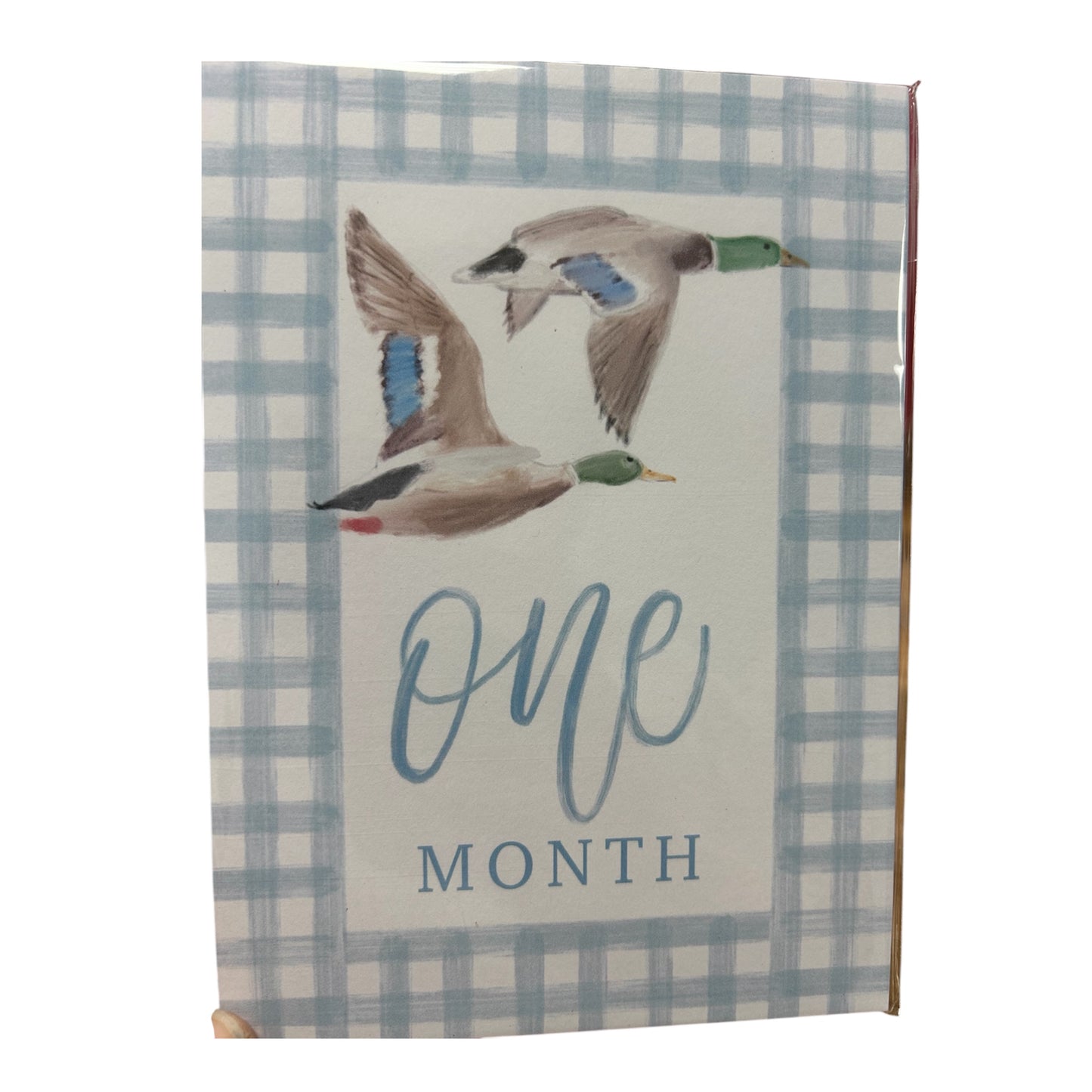 Flying Mallard Milestone Cards