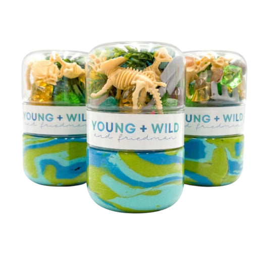 Grab & Go Dough Jar - Dino Fossils