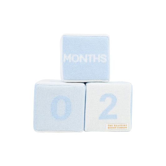 Blaylock Blocks - Blue