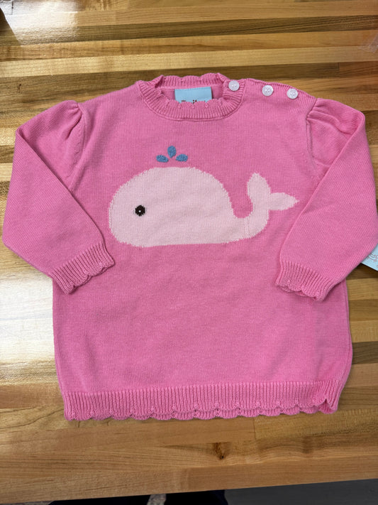 Whale Sweater