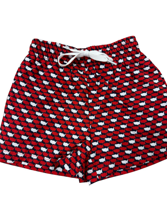 All Americans USA State Swim Shorts