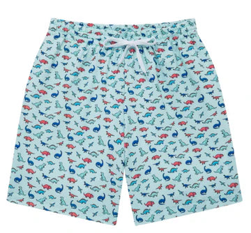 Swim short with a dinosaur pattern on a pale green background.