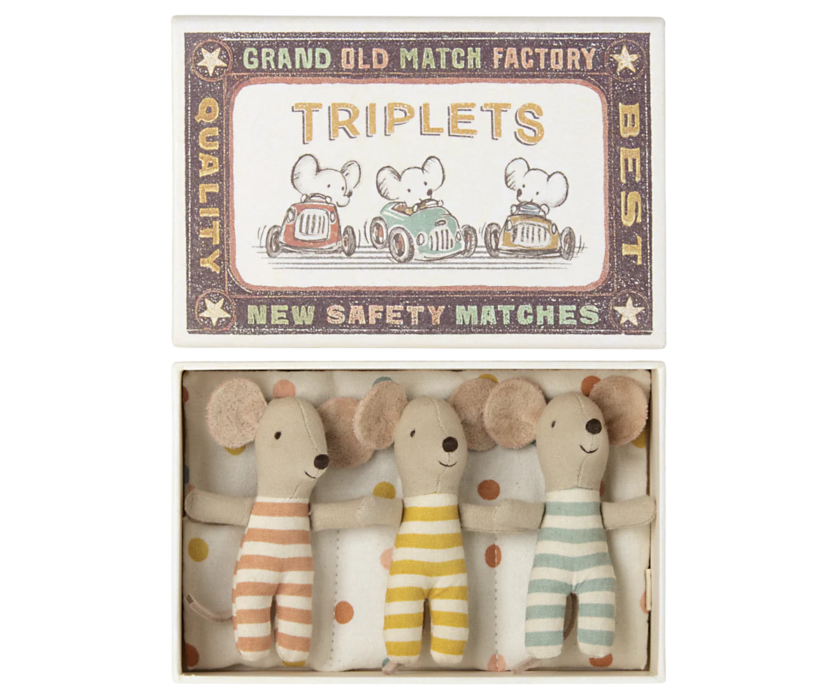 Triplets, Baby mice in matchbox