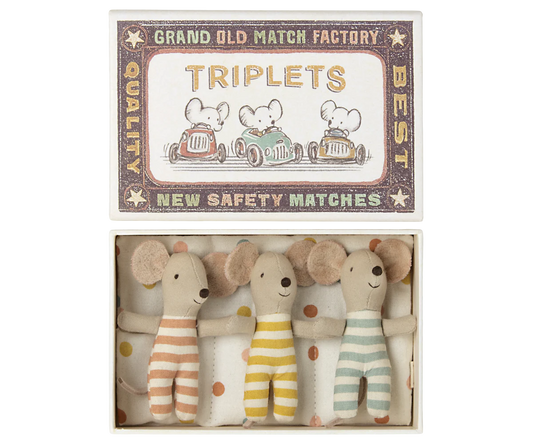 Triplets, Baby mice in matchbox