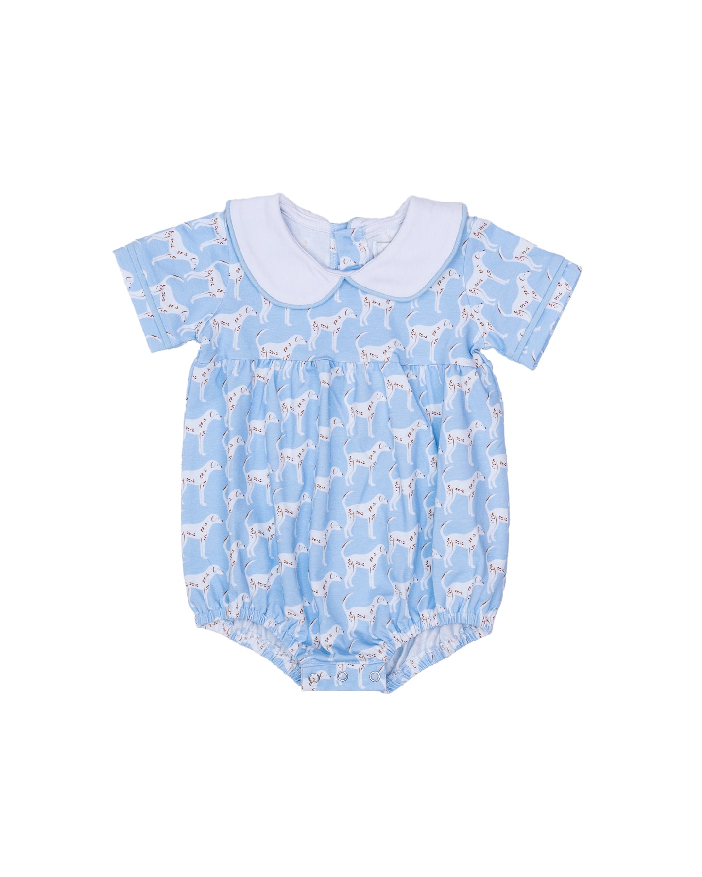 Baby blue bubble  with dog pattern and a white collar. 